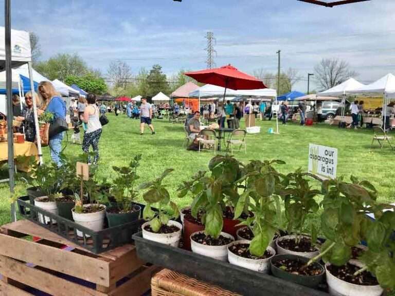 Wrightstown Farmers Market Bucks County Foodshed Alliance
